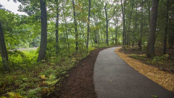 Permeable Paving is Great for Your Pathways  